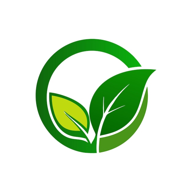 Íconos de hojas verdes logotipo de ecología
