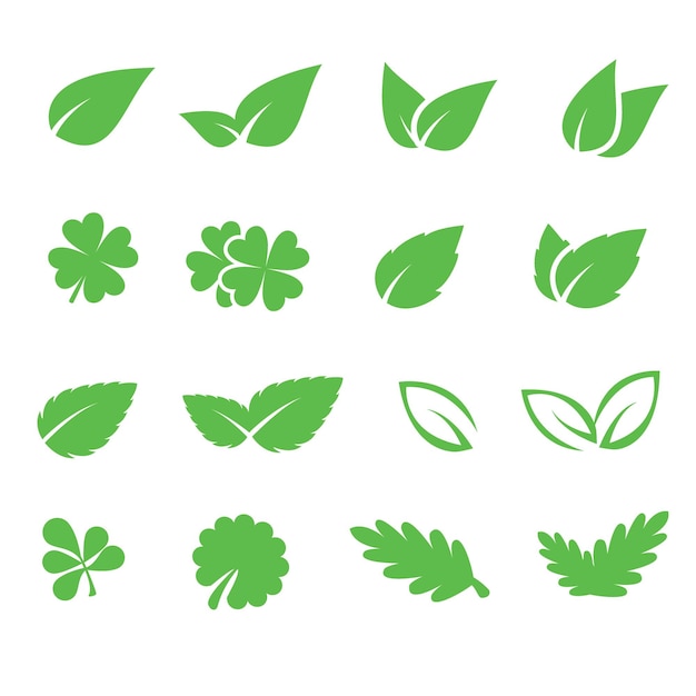Iconos de hojas verdes para productos naturales ecológicos