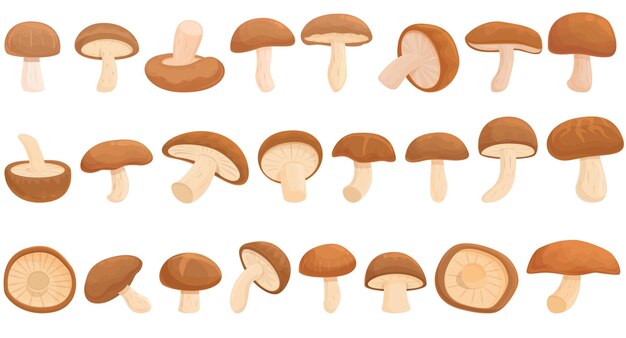 Iconos de hongos shiitake establecer vector de dibujos animados. planta de hongos. comida de otoño