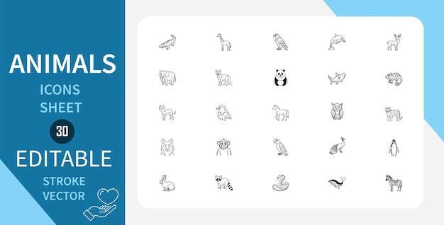 Los íconos de líneas de animales establecen aves reptiles anfibios insectos pandas jirafas leones y más