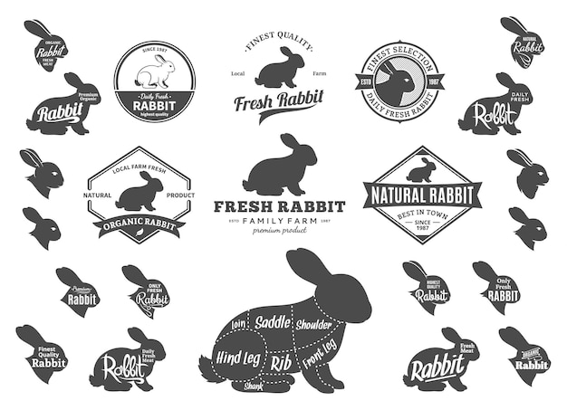 Iconos de logotipo de Vector Rabbit Gráficos y elementos de diseño