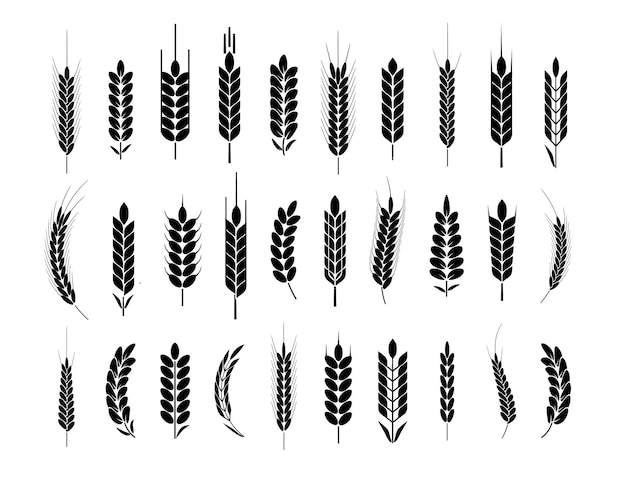 Vector iconos y logotipos de orejas de trigo para el estilo de identidad vector de agricultura de pan de trigo orgánico