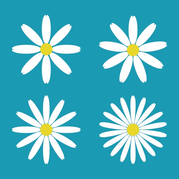 Vector iconos de manzanilla daisy aislados sobre fondo azul