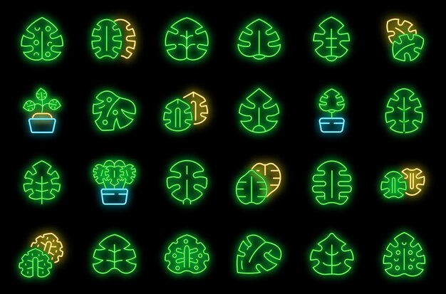 Los iconos de Monstera establecen el contorno del vector de la hoja de palma El color neón del árbol exótico en negro