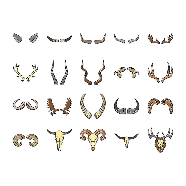 Vector iconos de la naturaleza de los animales silvestres del cuerno