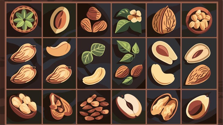 Vector iconos de nueces y semillas ilustración vectorial plana