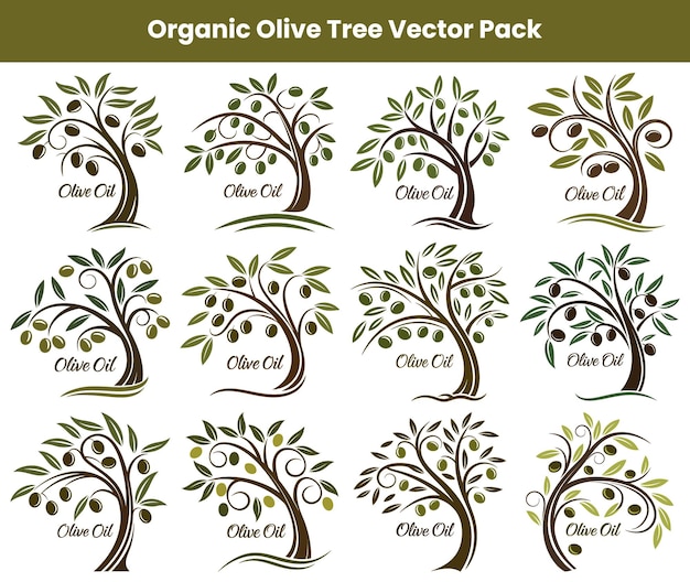 Iconos de olivos con aceitunas y hojas verdes sobre un fondo blanco