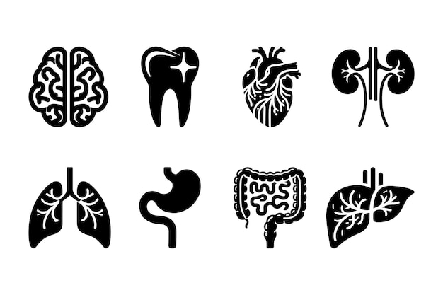 Iconos de los órganos humanos