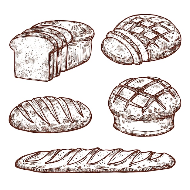 Iconos de pan de dibujo vectorial de panadería
