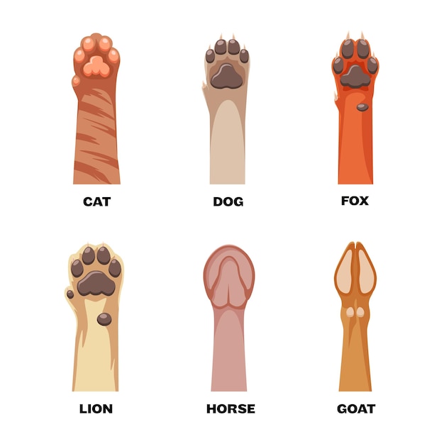 Iconos de patas de animales Conjunto de iconos de pata de animales Estilo de dibujos animados