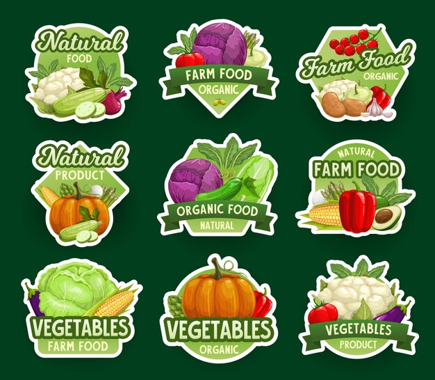 Vector iconos y pegatinas de vegetales naturales de granja, verduras