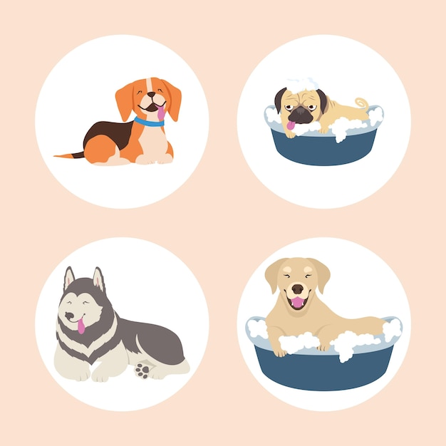 Vector iconos con perros lindos