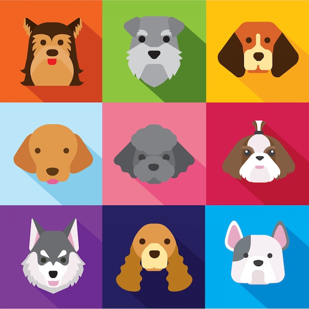 Iconos para perros