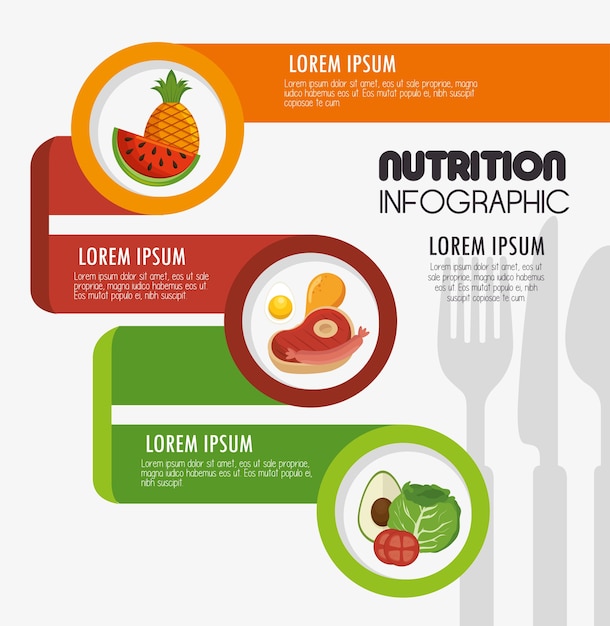 Vector iconos de presentación de infografía de nutrientes