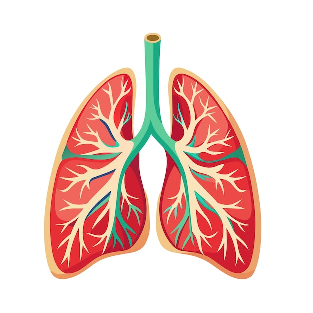 Iconos de pulmones estilo plano órganos internos del elemento de diseño humano concepto de medicina anatómica