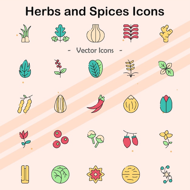 Iconos que representan varias hierbas y especias utilizadas en la cocina