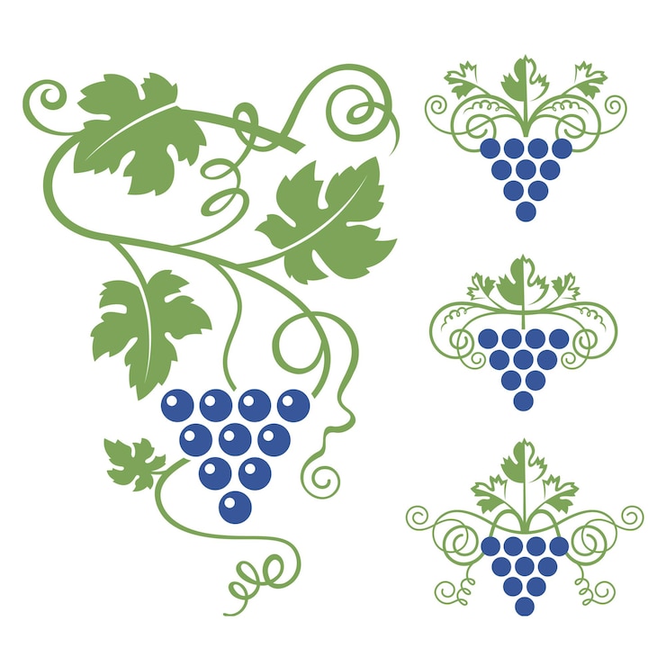 Vector iconos de racimos de uvas