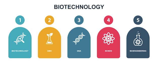 Iconos de rendimiento de medición objetiva de optimización de kpi plantilla de diseño infográfico concepto creativo con 5 pasos