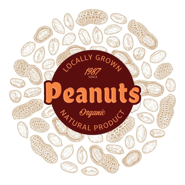 Iconos de semillas y cáscaras de cacahuetes etiquetados por vectores