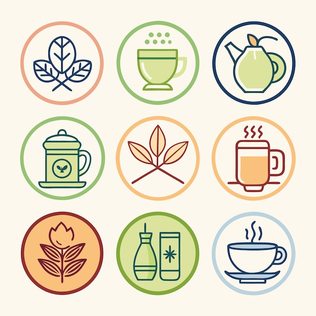 Iconos de té de hierbas orgánicas Hojas de infusión de té verde e ilustraciones de teteras