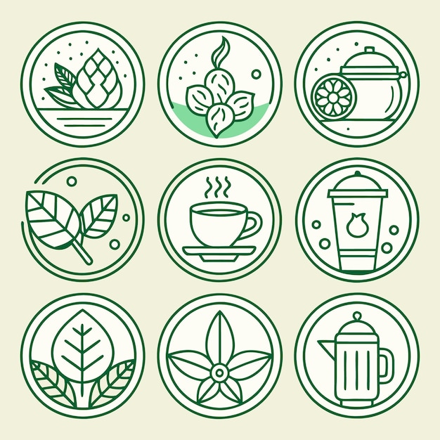 Iconos de té de hierbas orgánicas Hojas de infusión de té verde e ilustraciones de teteras