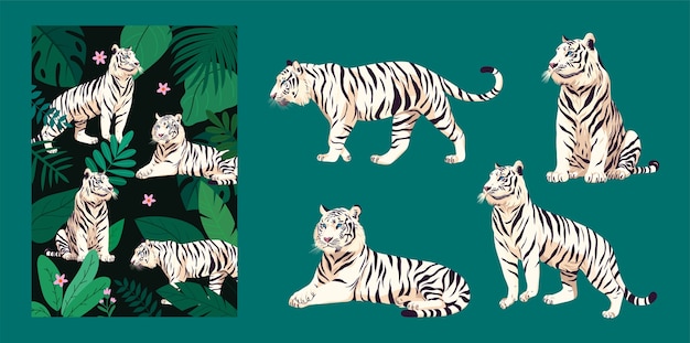 Iconos de tigre planos dibujados a mano y colección de ilustraciones