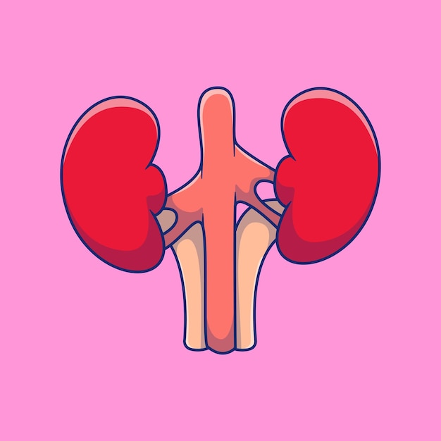 Iconos vectoriales de dibujos animados de riñón Ilustración Concepto de dibuyos animados planos