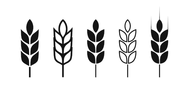 Iconos vectoriales de la espiga de trigo o pictogramas lineales y completos de granos de cereales