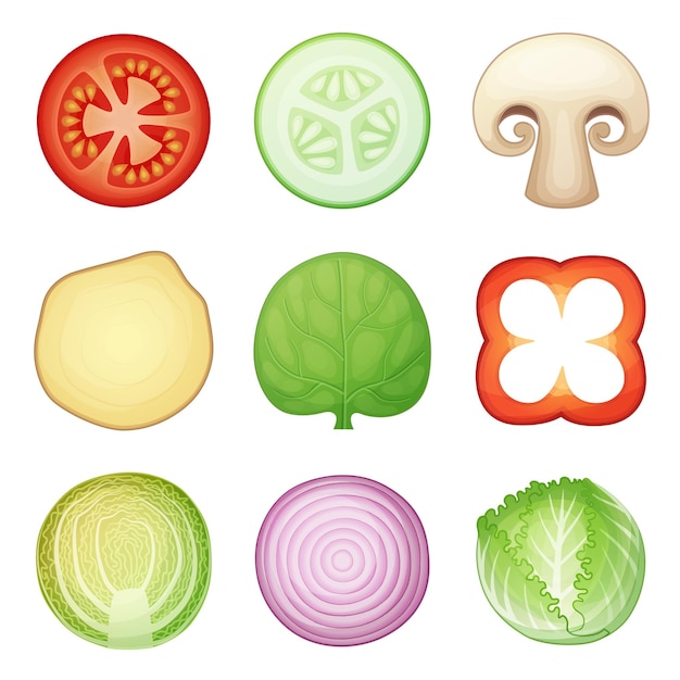 Vector iconos vectoriales redondos de mitades de verduras aislados sobre un fondo blanco de jengibre de espinaca fresca