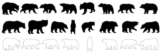 Iconos vectoriales de silueta de oso Siluetas de animales salvajes oso pardo oso negro polar Aislado