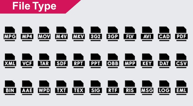 Iconos vectoriales de tipo de archivo sobre fondo blanco