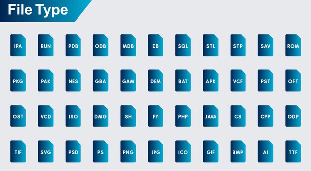 iconos vectoriales de tipo de archivo