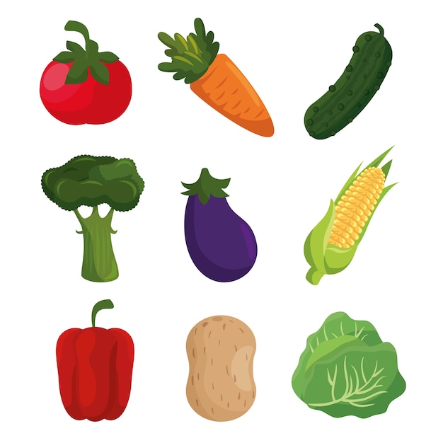 Iconos veganos de comida sana de verduras