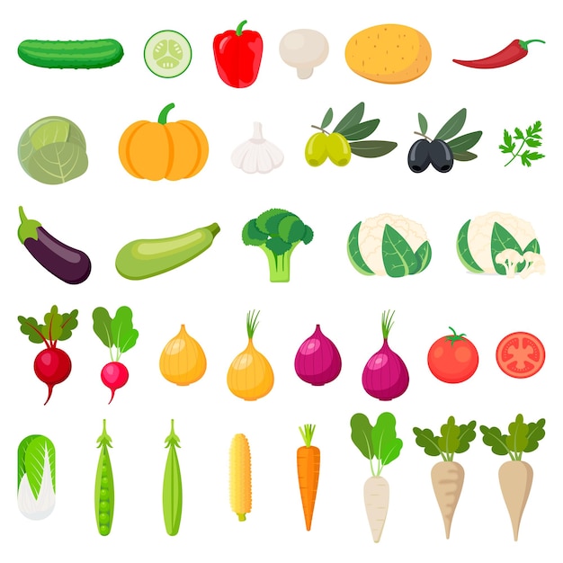 Iconos de verduras Colección producto agrícola aislado sobre fondo blanco Ilustración vectorial