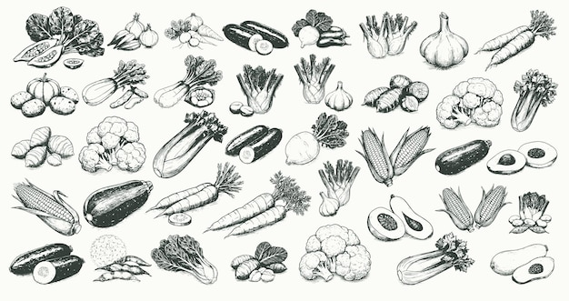 Iconos de verduras dibujados a mano con ilustraciones de contorno