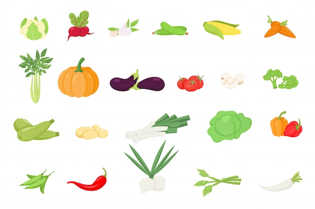 Iconos de verduras en estilo de dibujos animados