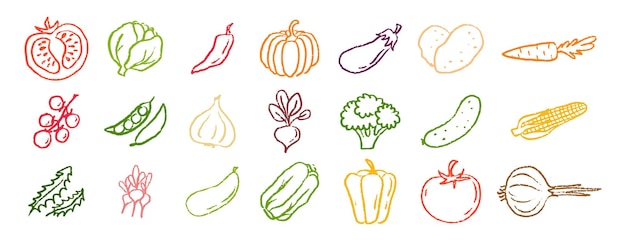 Iconos de verduras con tiza dibujados a mano conjunto de dibujos con lápiz de colores verduras ilustración vectorial
