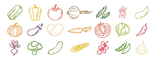 Iconos de verduras con tiza dibujados a mano conjunto de dibujos con lápiz de colores verduras ilustración vectorial