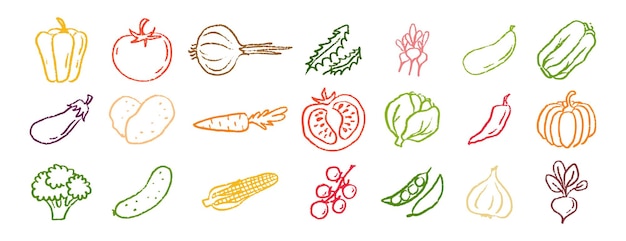 Iconos de verduras con tiza dibujados a mano conjunto de dibujos con lápiz de colores verduras ilustración vectorial