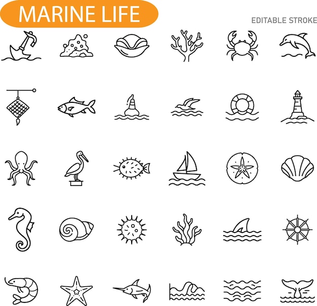 Iconos de la vida marina Animales oceánicos Barcos y navegación