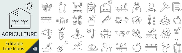 iconset26 copia de la página web