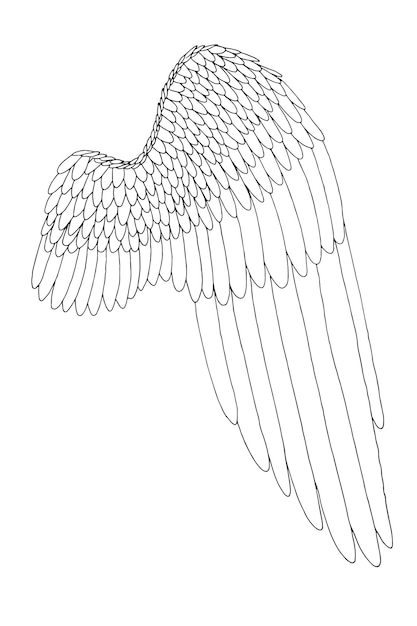 Idea de tatuaje de ala de ángel dibujado a mano vectorial
