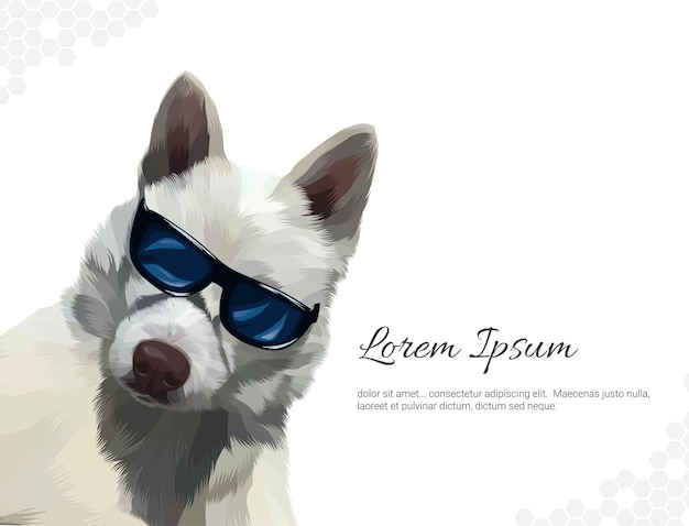 Ideas de decoración de paredes para el Husky siberiano