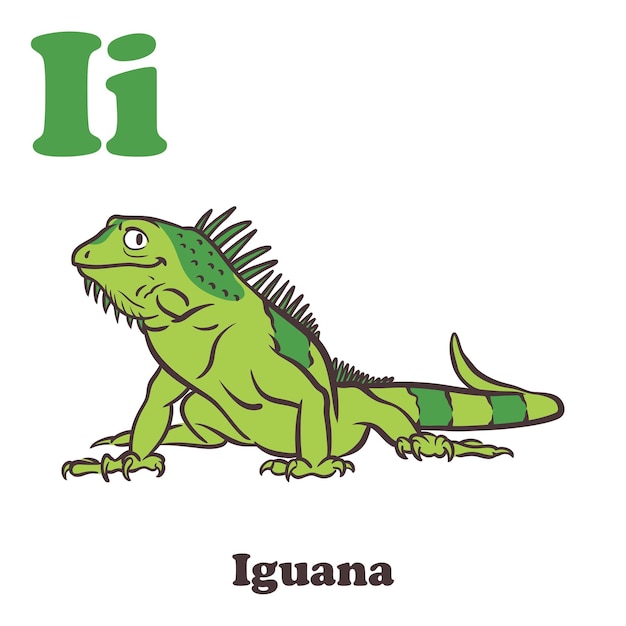 Vector iguana alfabeto personaje de dibujos animados para niños