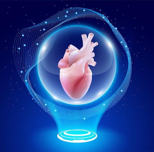 La ilustración en 3D de un corazón humano en una bola de cristal da una sensación de milagro para las enfermedades cardíacas