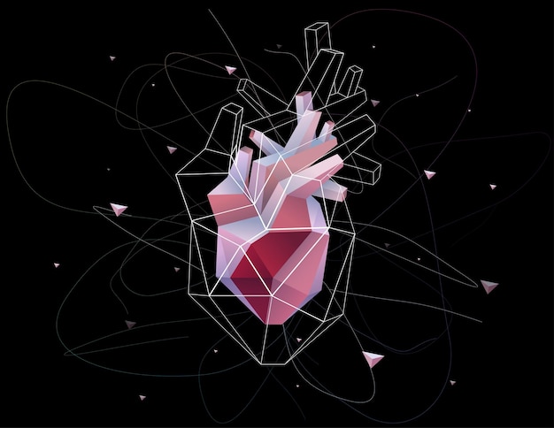 Vector ilustración 3d de un corazón humano presentado en formas geométricas que consisten en líneas blancas esparcidas por su periferia