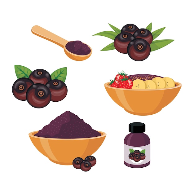 Vector ilustración de acai berry y batido en un tazón