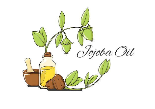 Ilustración en aceite de jojoba