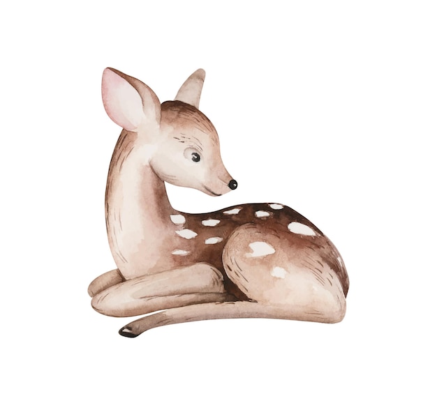Ilustración de acuarela de bosque de baby deer animales del bosque de fawn para vivero y bebé