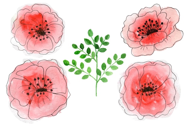 Vector ilustración de acuarela. botánico de plantas silvestres y de jardín. establecer diferentes flores silvestres rose.